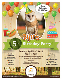 Bijii's 5th Birthday 2018