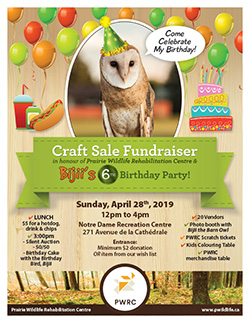 Craft Sale Fundraiser & Bijii's 6th Birthday 2019