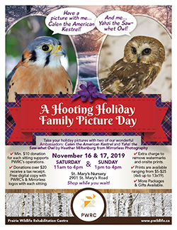 A Hootin' Holiday Family Picture Day 2019